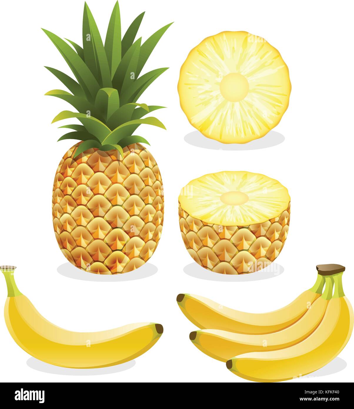 Pineapple and banana fruit. Vector illustration Stock Vector Image