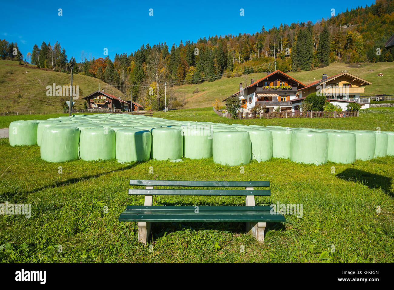 Bank and green hay silo bales in front of farmhouses, autumn, Jachenau, Upper Bavaria, Bavaria, Germany Stock Photo