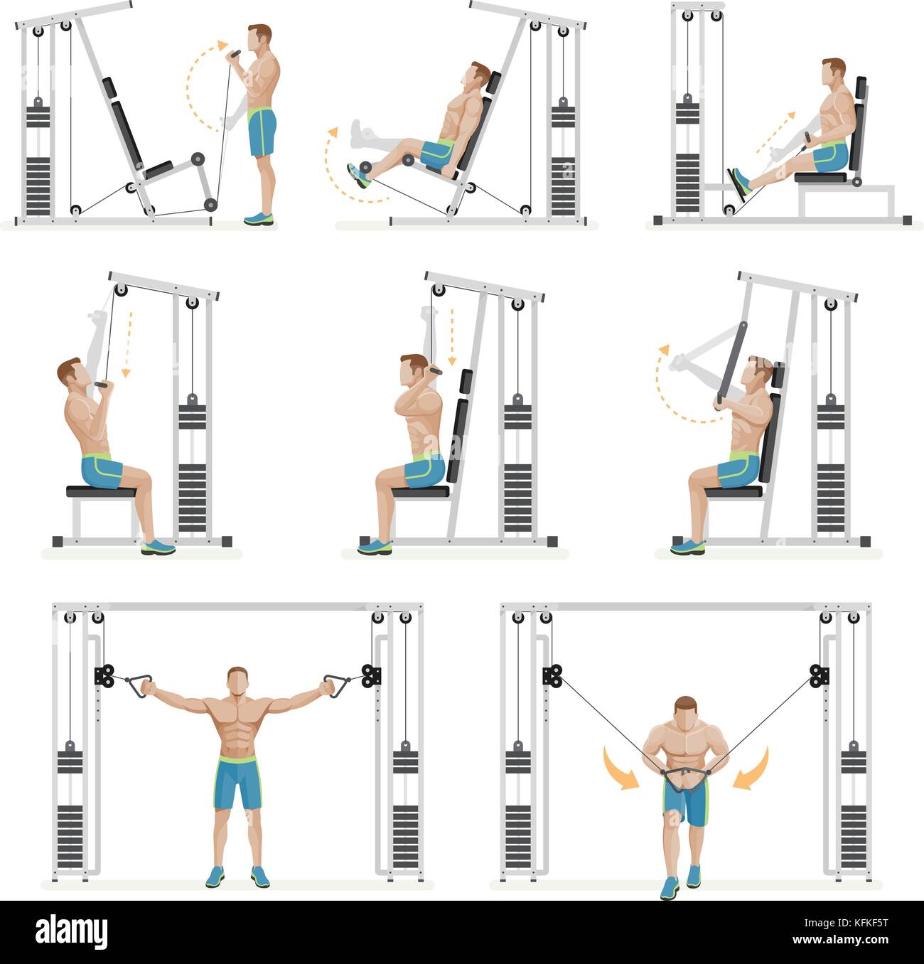Gym exercises machines sports equipment. Vector Illustration Stock Vector Image Art Alamy