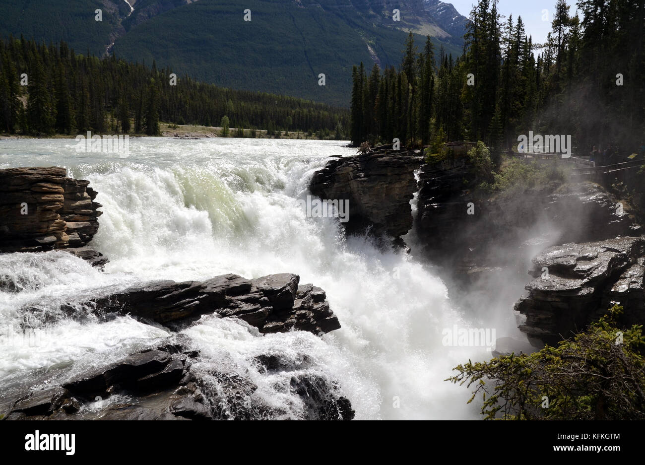 Athabasca Falls, Jasper National Park, Canada Stock Photo