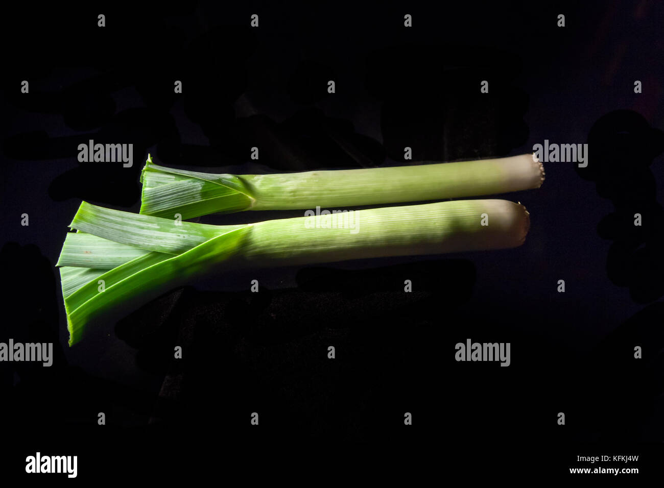 two leeks on their sides on black background Stock Photo