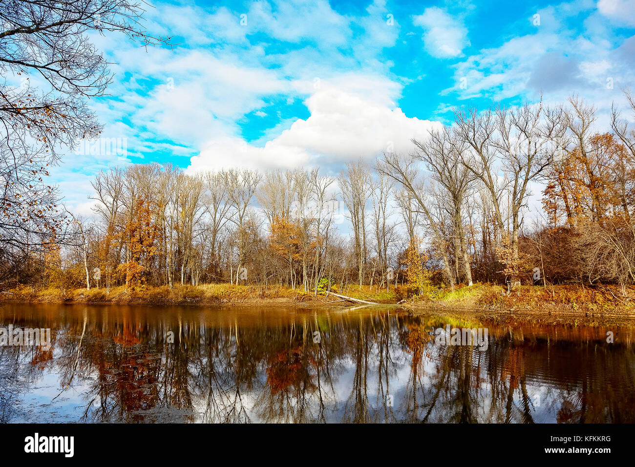 Forest lake in autumn forest Stock Photo - Alamy