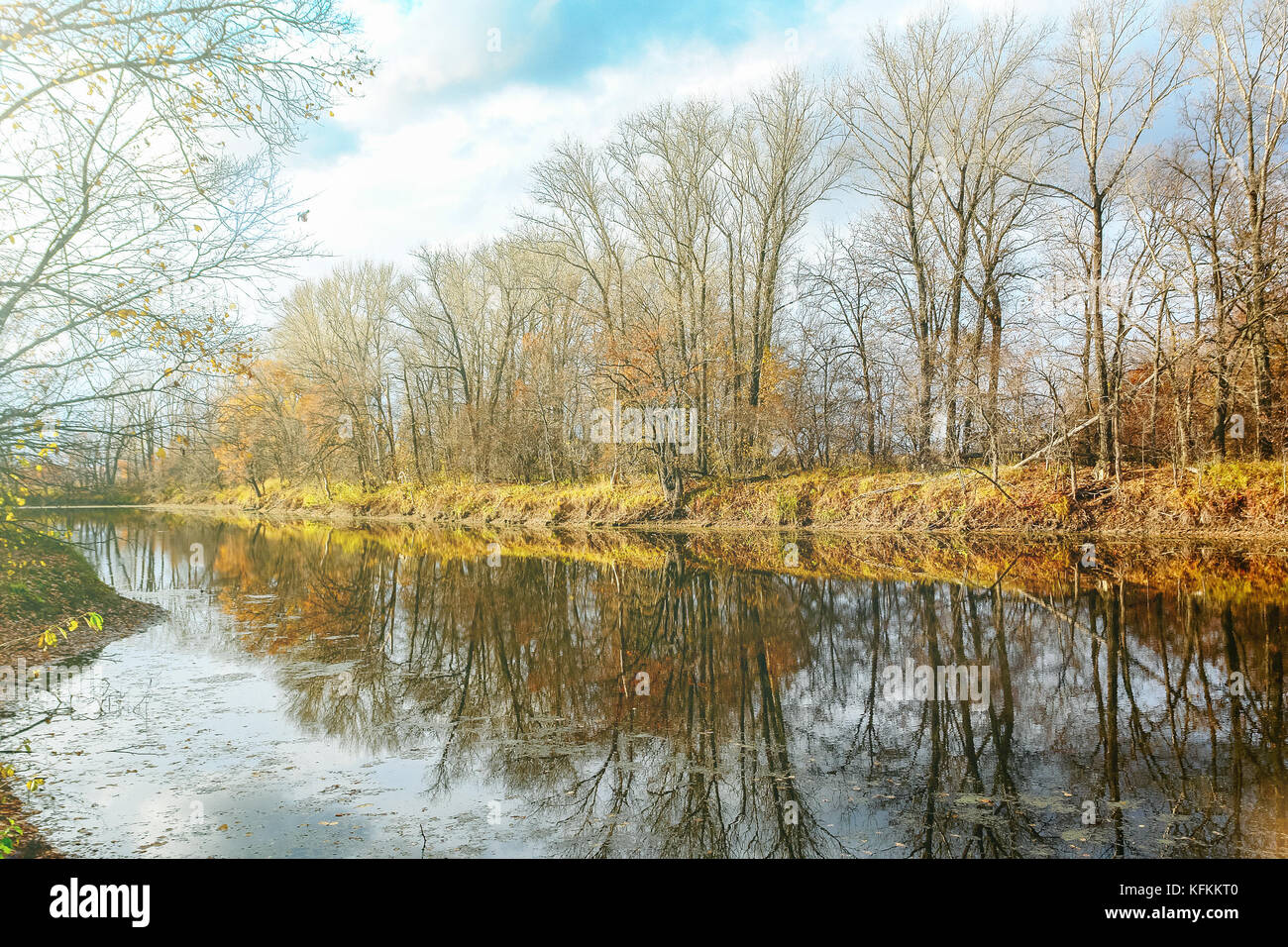 Forest lake in autumn forest Stock Photo - Alamy