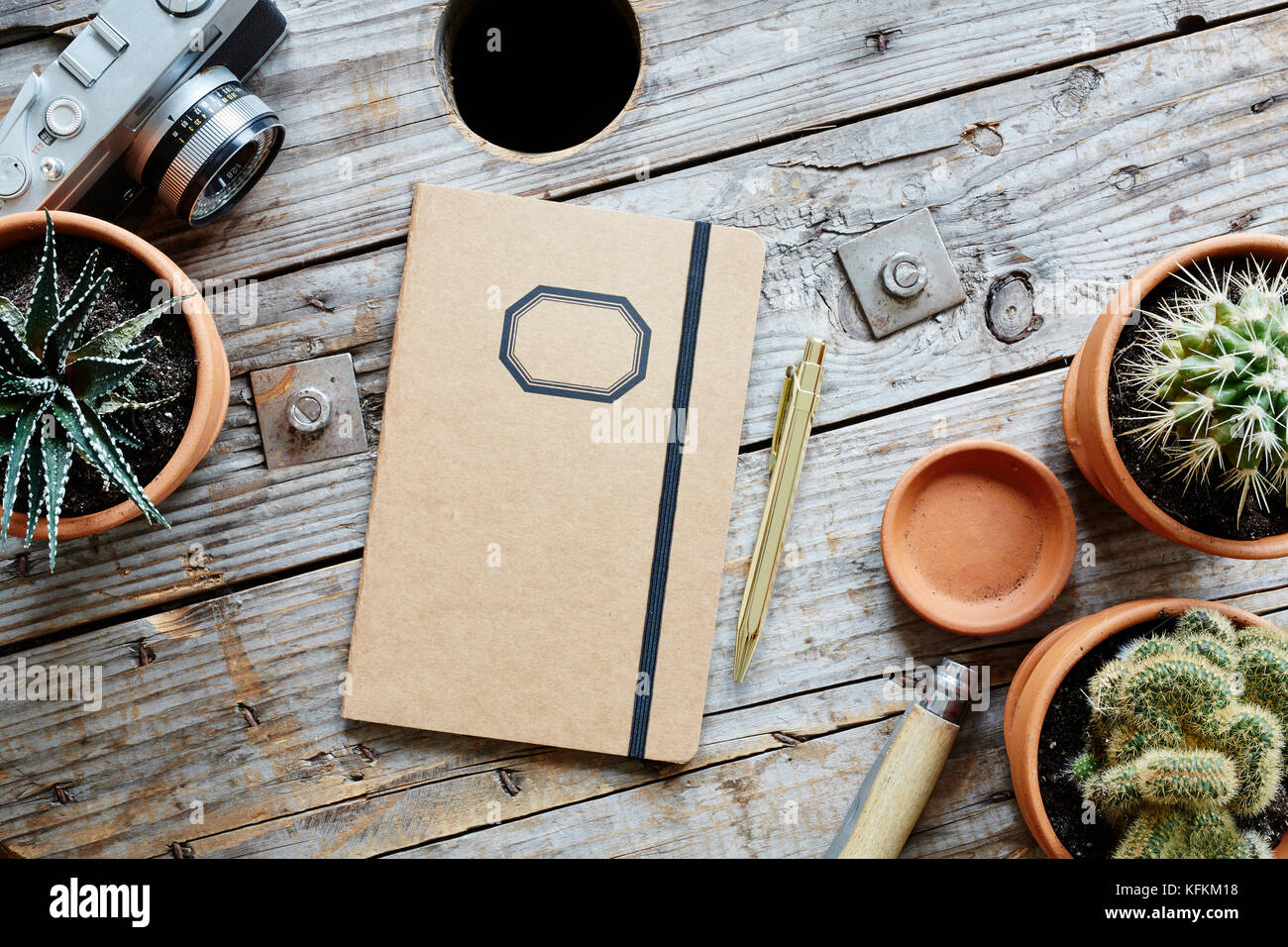dsigner desk industrial wood analog camera cacti and retro notebook Stock Photo