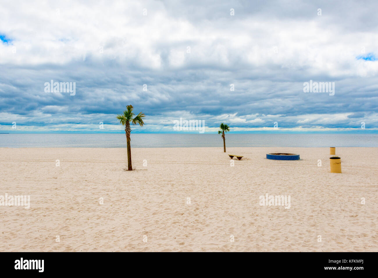 Palm Trees on Beach in Pass Christian, Mississippi, USA Stock Photo