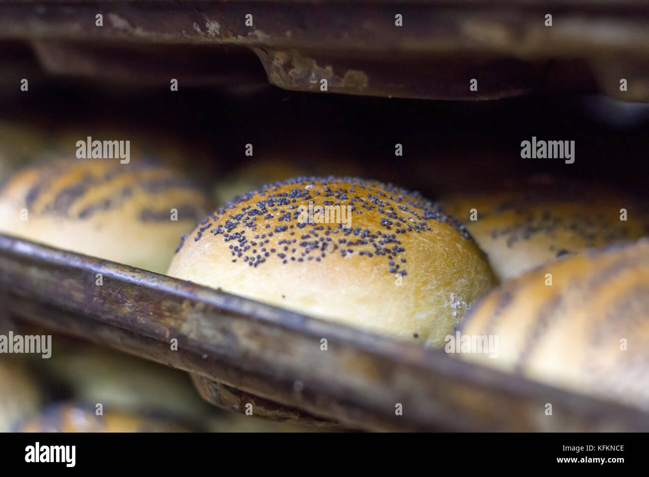 https://c8.alamy.com/comp/KFKNCE/many-ready-made-fresh-bread-in-a-bakery-oven-in-a-bakery-bread-making-KFKNCE.jpg