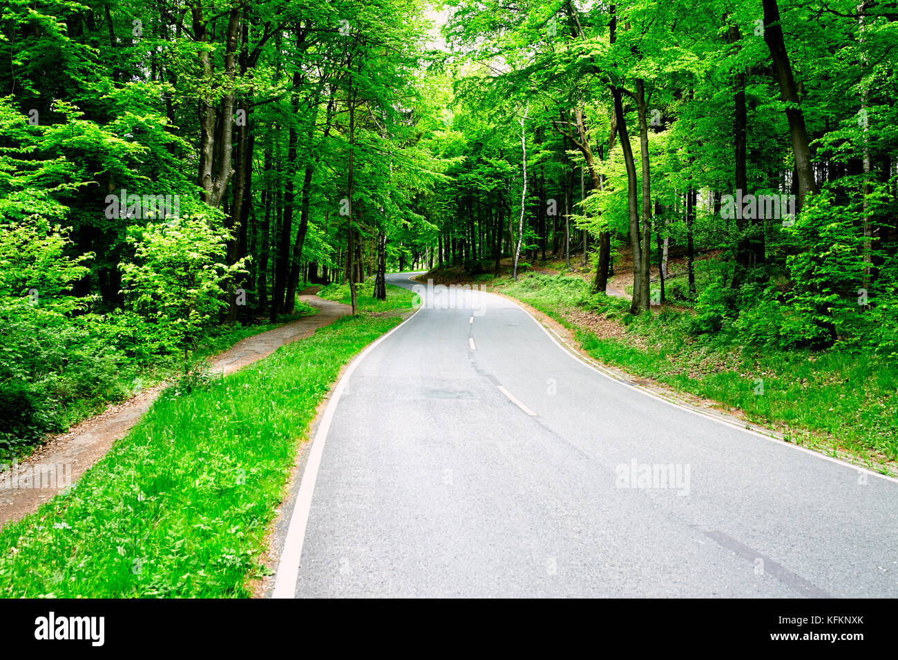 Forest path leading uphill hi-res stock photography and images - Alamy