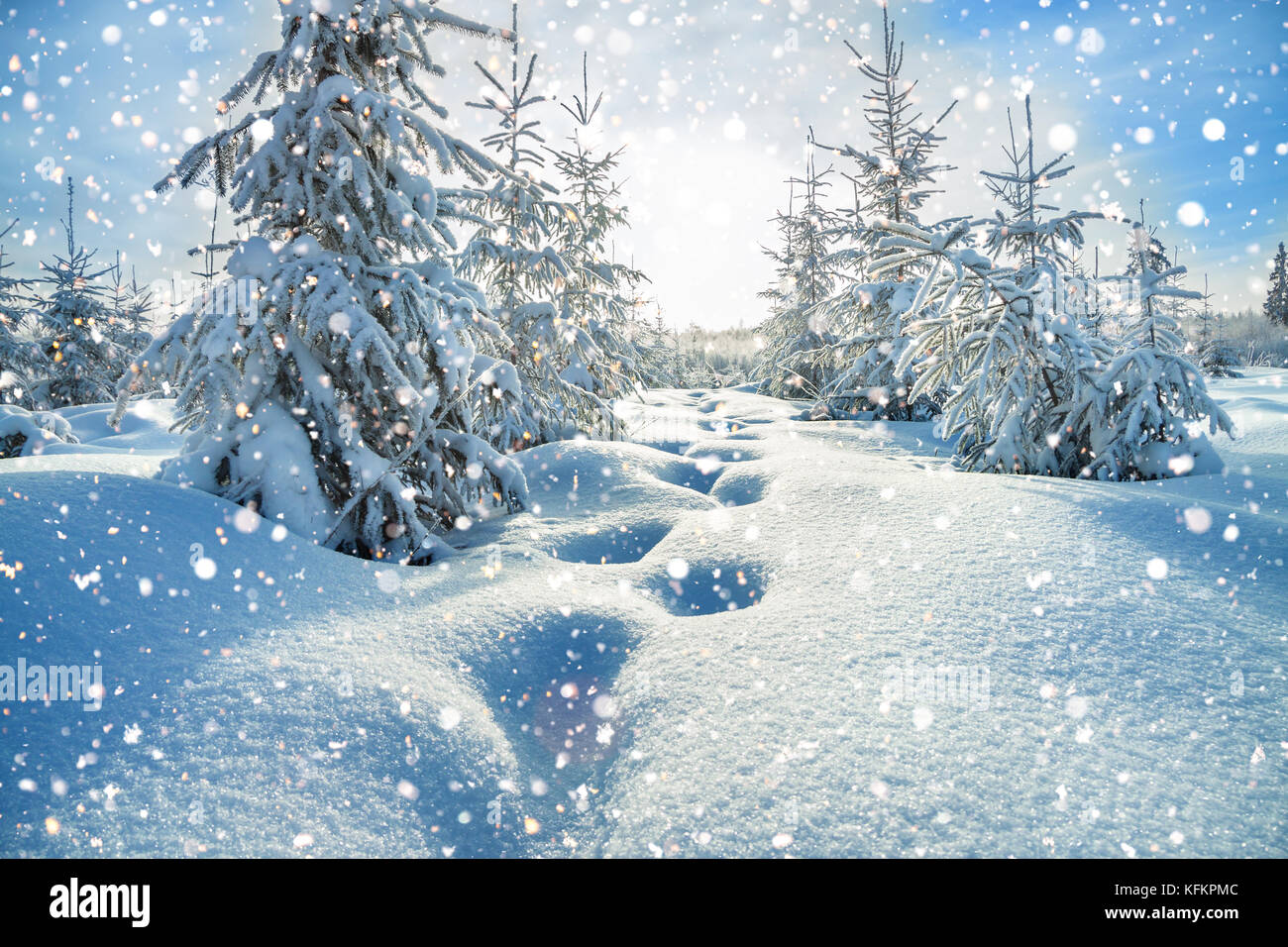 beautiful winter landscape with the forest and blue sky Stock Photo - Alamy