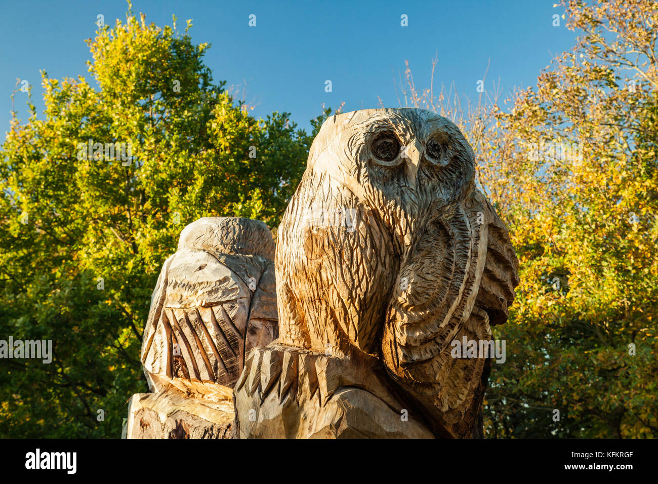 Carved wooden owls in Hurstpierpoint, West Sussex, England. Stock Photo