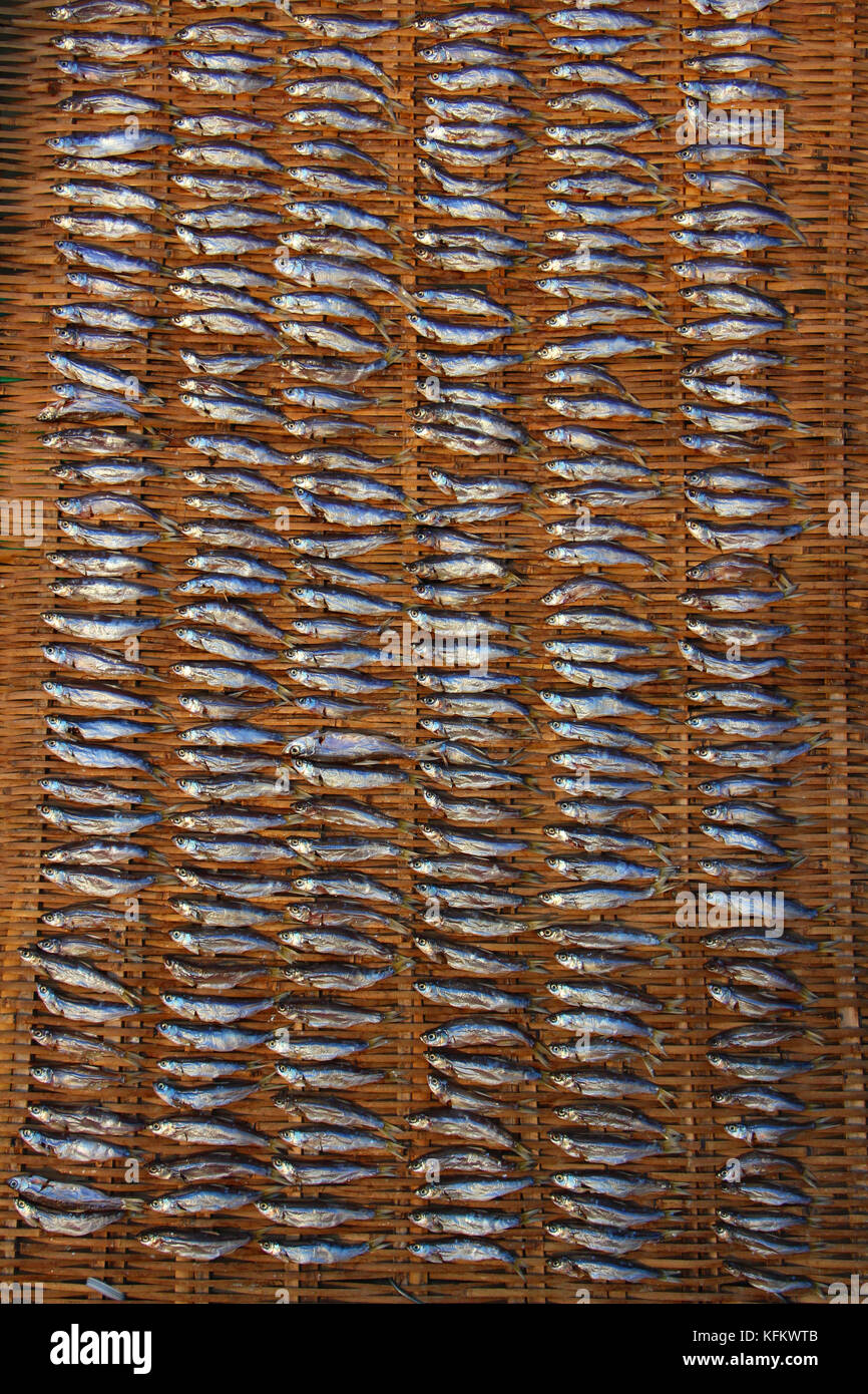 Xiaogan, Xiaogan, China. 30th Oct, 2017. Xiaogan, CHINA-October 26 2017:(EDITORIAL USE ONLY. CHINA OUT).Air-dried fish is a kind of special food in Xiaogan, central China's Hubei Province. Credit: SIPA Asia/ZUMA Wire/Alamy Live News Stock Photo