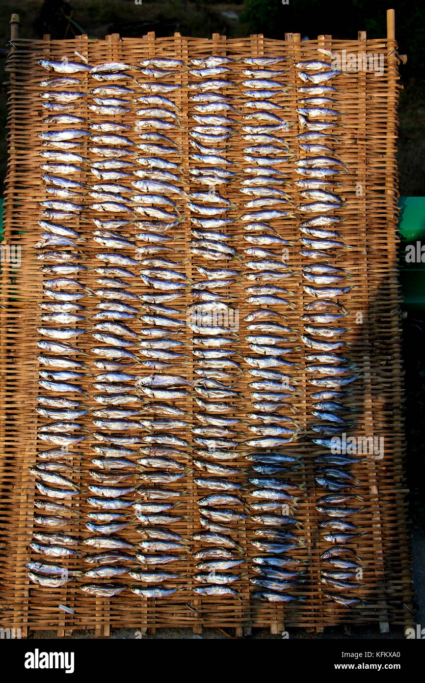 Xiaogan, Xiaogan, China. 30th Oct, 2017. Xiaogan, CHINA-October 26 2017:(EDITORIAL USE ONLY. CHINA OUT).Air-dried fish is a kind of special food in Xiaogan, central China's Hubei Province. Credit: SIPA Asia/ZUMA Wire/Alamy Live News Stock Photo