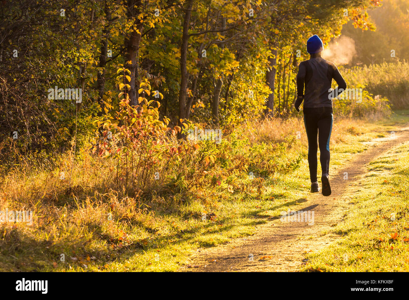 60 year old jogger, runner on early morning run as breath condenses against the cold air on a frosty morning. UK Stock Photo