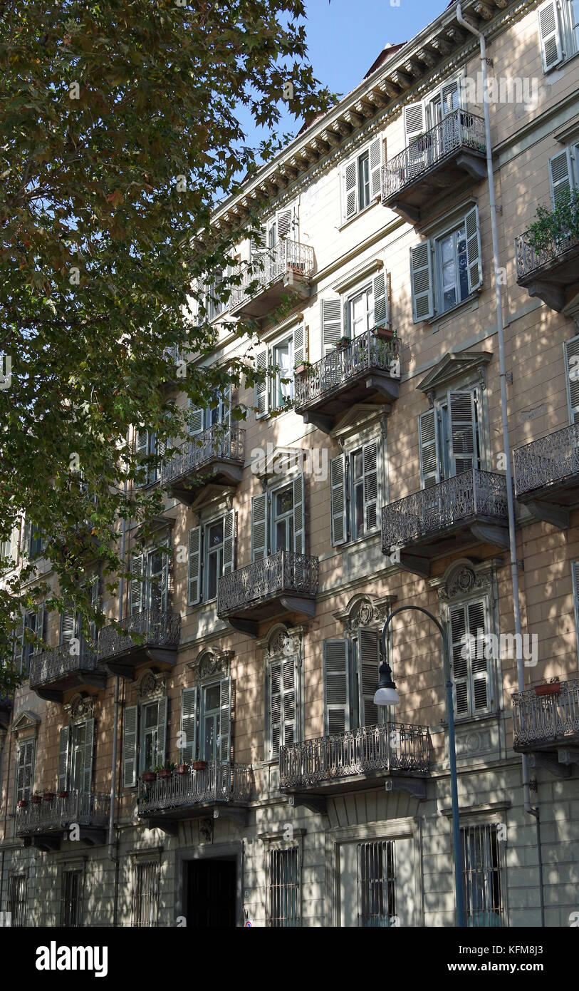 Shadows on wall of apartment building, created by Plane trees, Platanus x acerifolia, Stock Photo