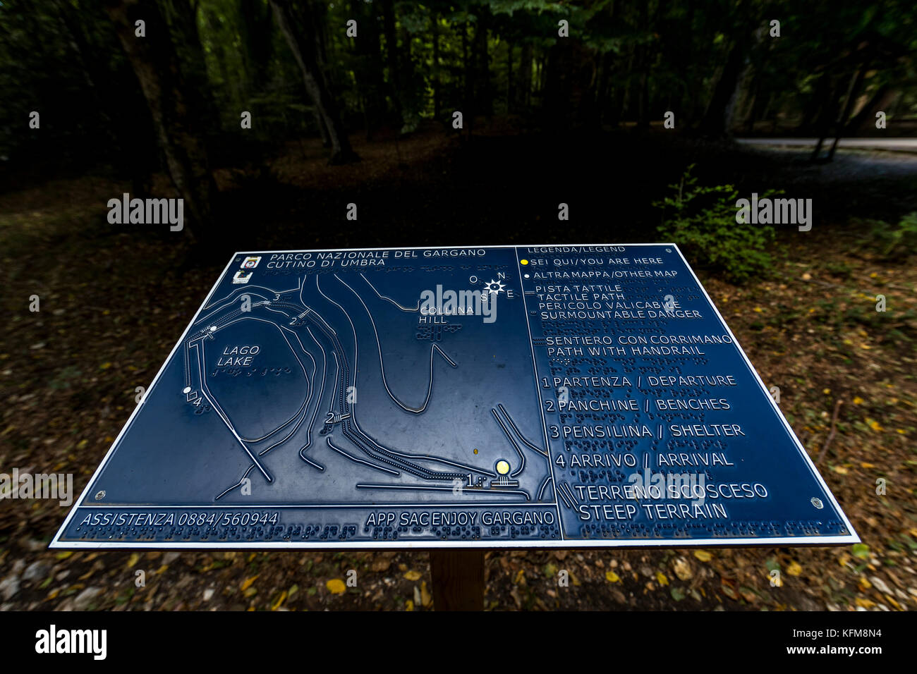 Information boards and maps in Braille for visually impaired. Forest of