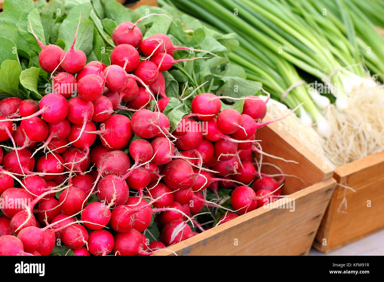radishes on sale at the farmer's market Stock Photo Alamy