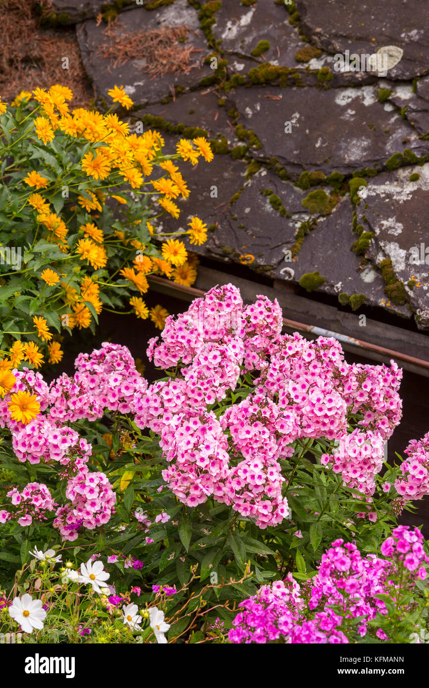 ST. NIKLAUS, SWITZERLAND - Flowers in bloom and slate roof. Stock Photo