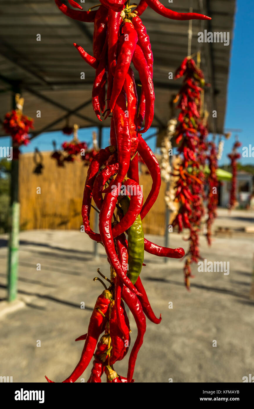 Red chillies drying in the sun and for sale at a farmers roadside stall ...
