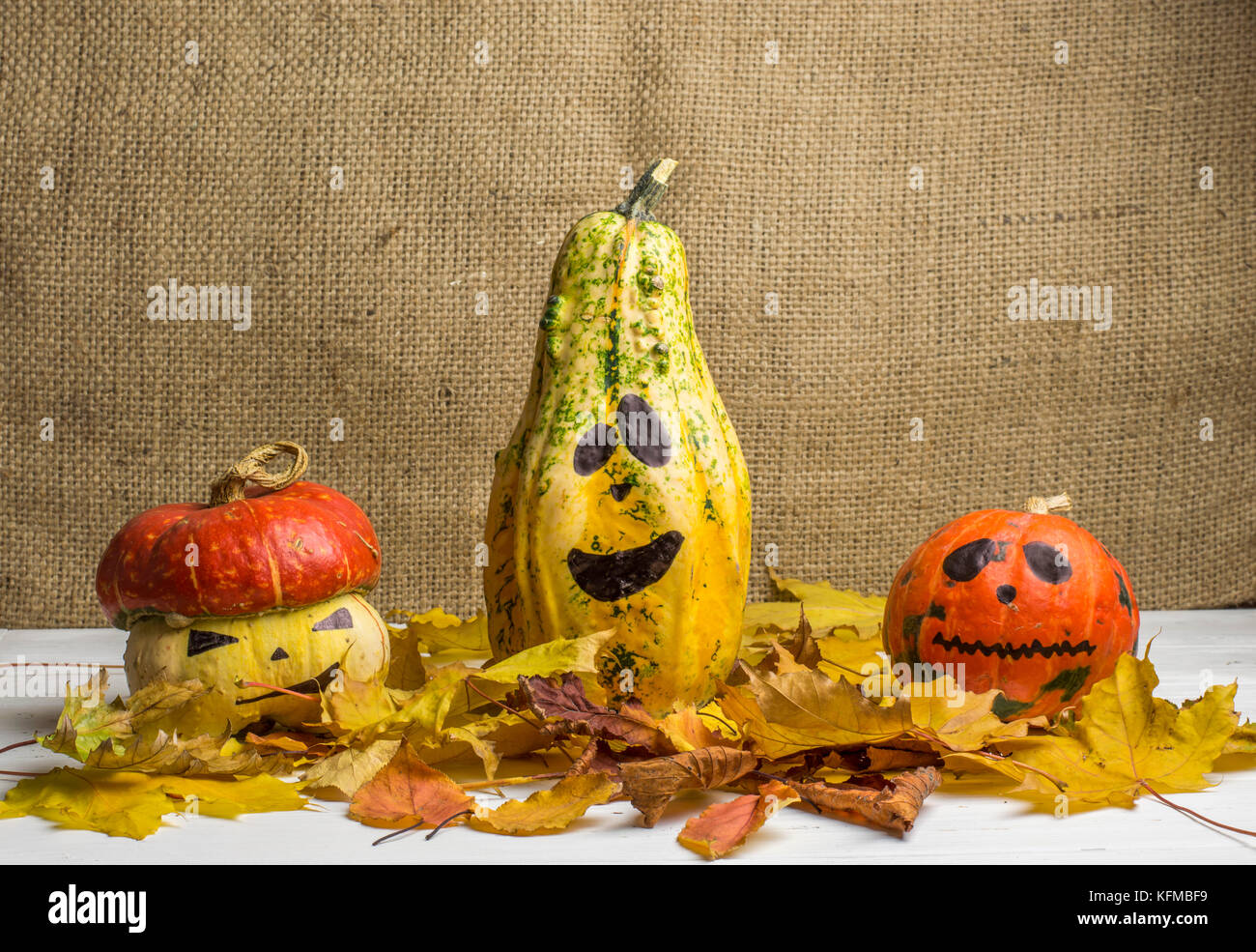 Funny Halloween Pumpkins among Autumn Leaves Stock Photo