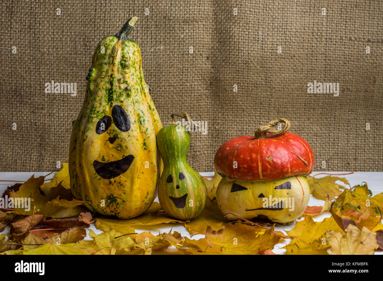 Family of Pumpkins among Autumn Leaves Stock Photo - Alamy