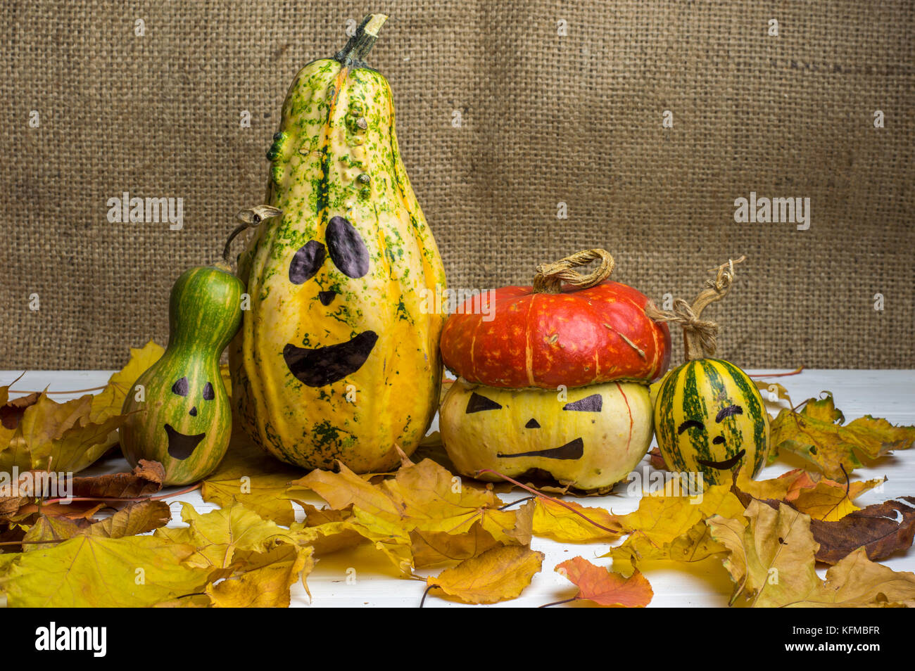 Family of Halloween Pumpkins among Yellow Leaves Stock Photo