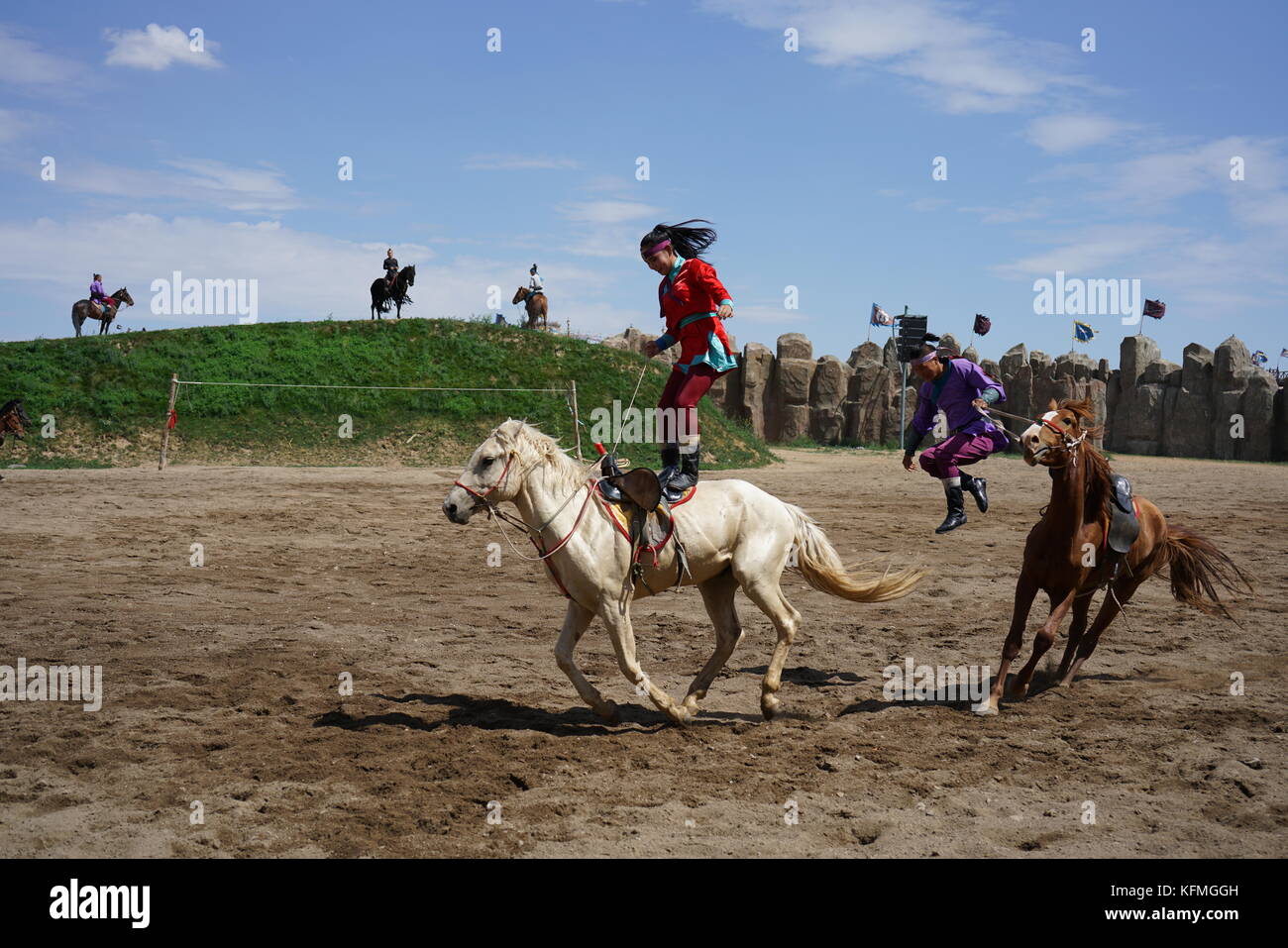 A female Mongolian rider stands on the back of a galloping horse. Her partner, another male rider, took the reins and jumped off the horse. Stock Photo