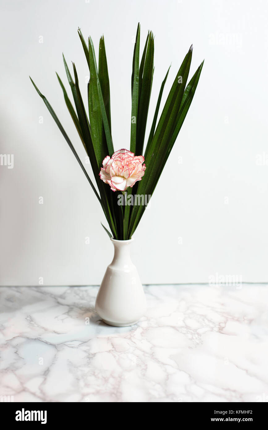 Pink and white flower in a pot with green leaves behind it on a white background and marble Stock Photo