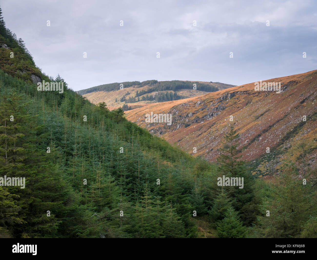 Landscape of Wicklow Mountains in autunm colors Stock Photo Alamy