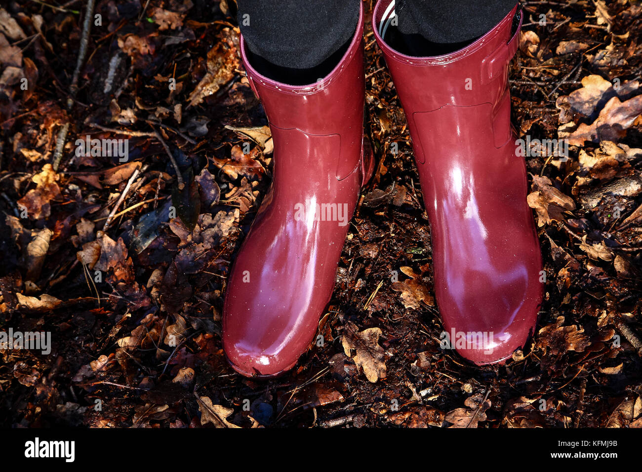 Young woman wearing wellington boots walking amongst fallen autumn leaves in the woods Stock Photo