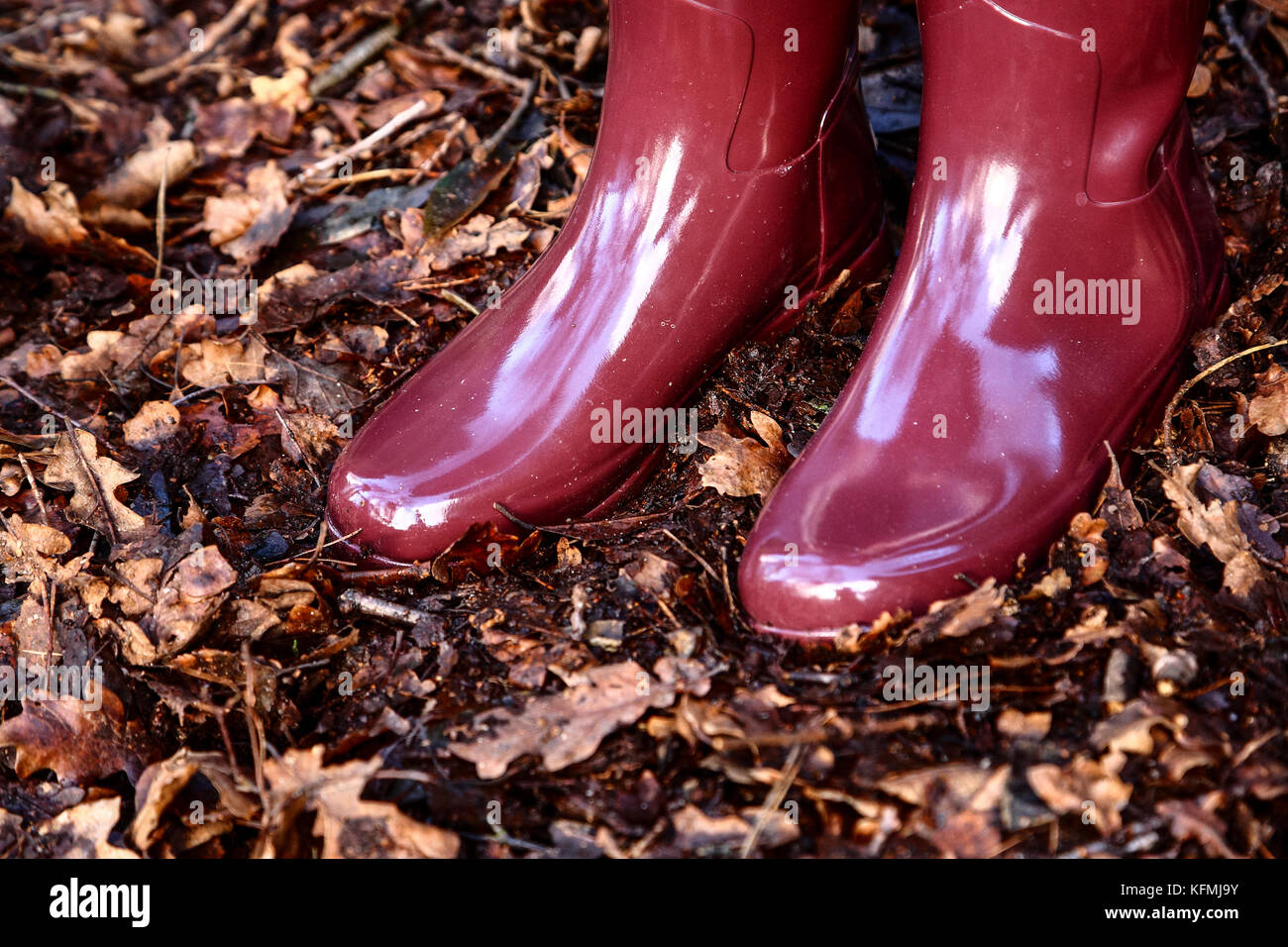 Young woman wearing wellington boots walking amongst fallen autumn leaves in the woods Stock Photo