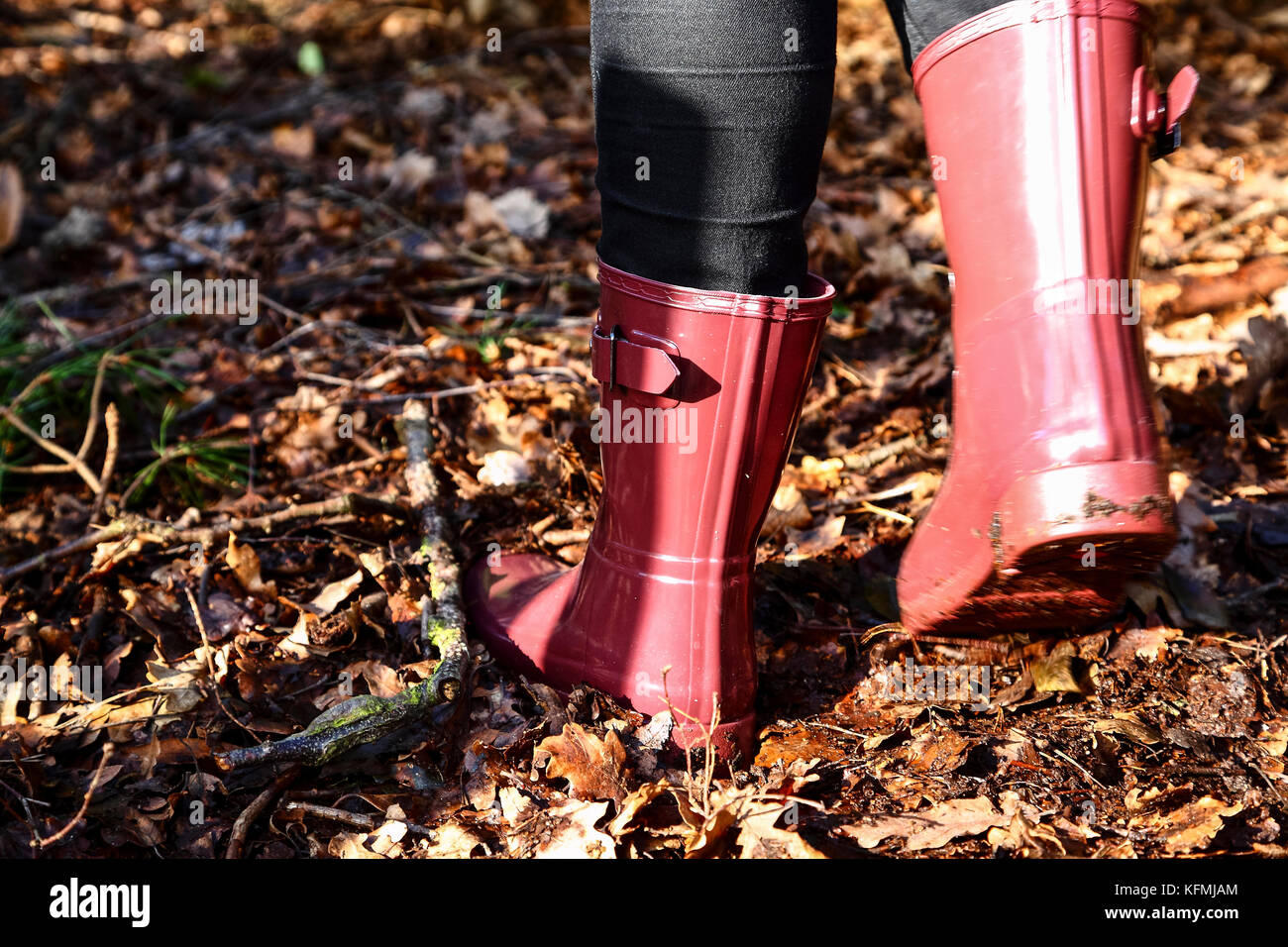 Young woman wearing wellington boots walking amongst fallen autumn leaves in the woods Stock Photo