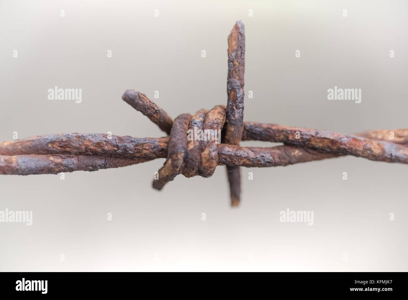 Rusty barbed wire Stock Photo Alamy
