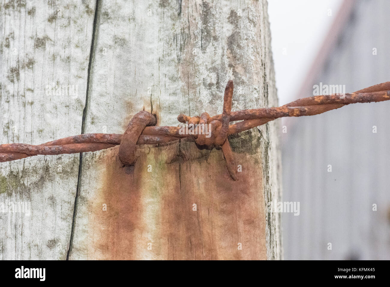 Rusty barbed wire Stock Photo Alamy