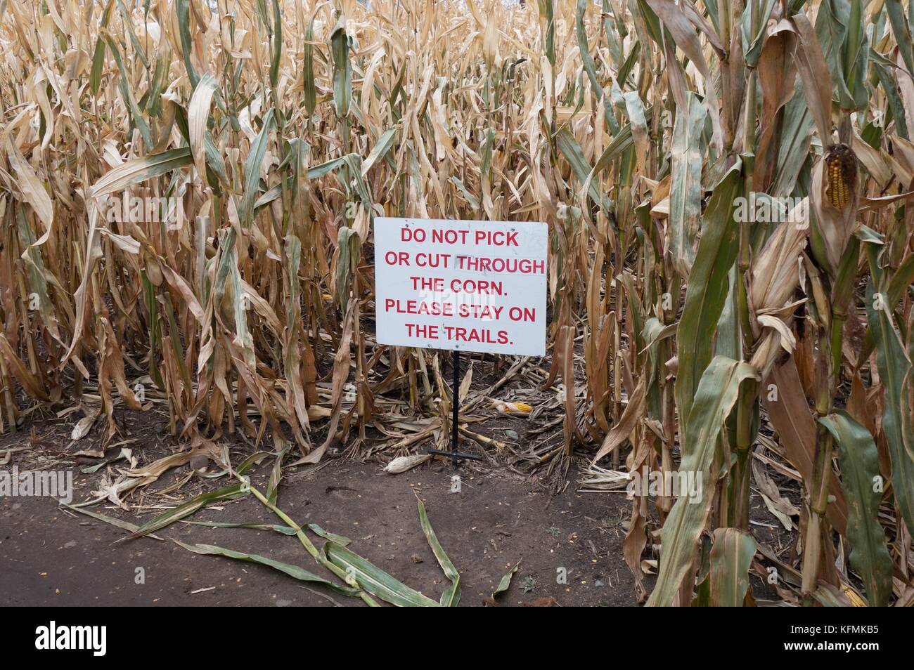A sign in a corn maze at Sever's Fall Festival in Shakopee, Minnesota, USA. Stock Photo