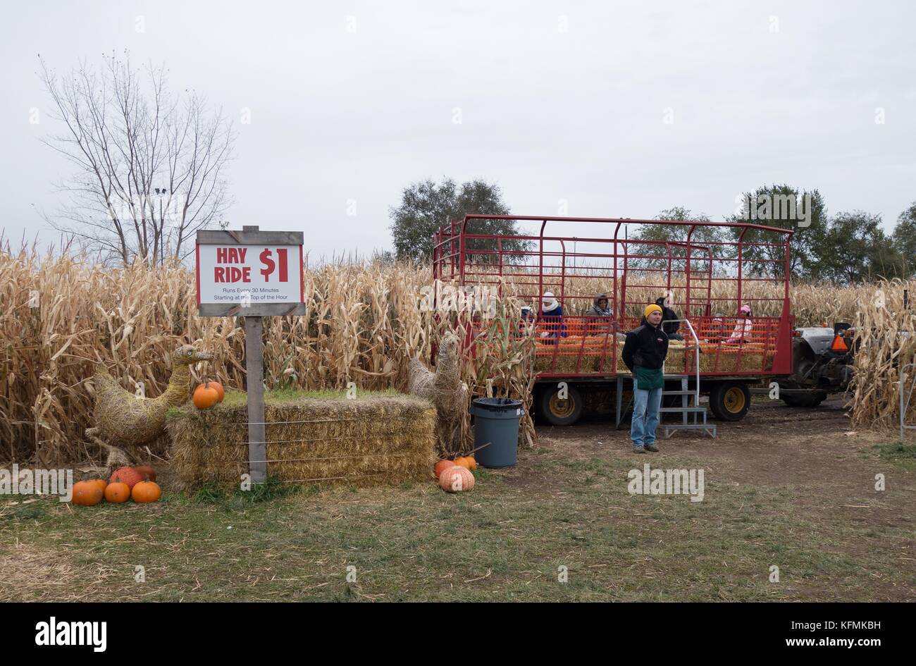 People preparing to go on a hay ride at Sever's Fall Festival in Shakopee, Minnesota, USA. Stock Photo