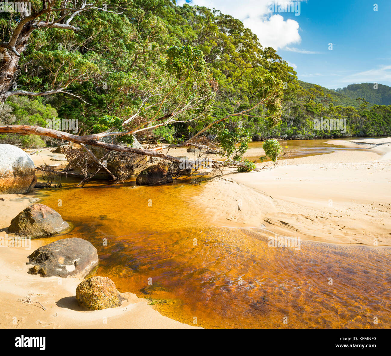 Tannin river of Sealers Cove, Wilsons Promontory National Park