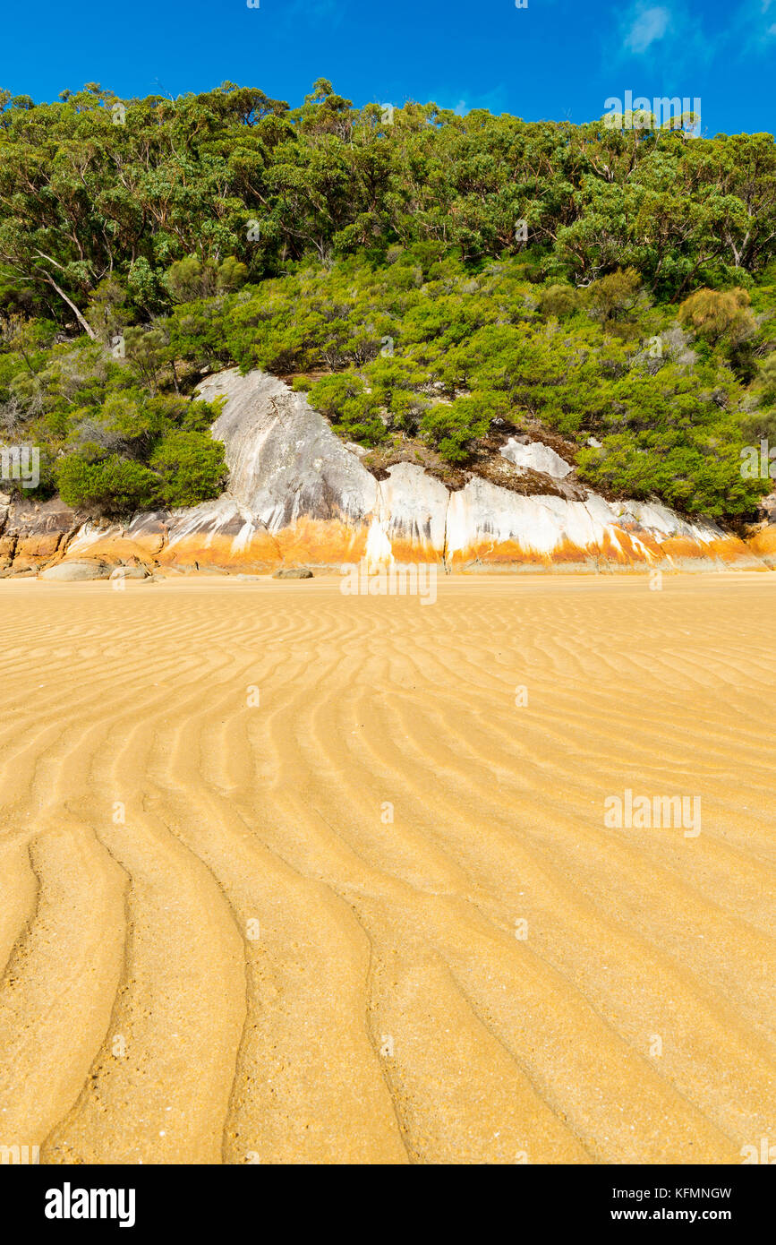 Tidal sand patterns on seashore landsacpe with boulders and forest background Stock Photo