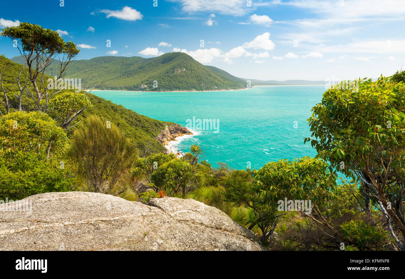 Landscape view of trail between refuge cove and sealers cove in Wilsons