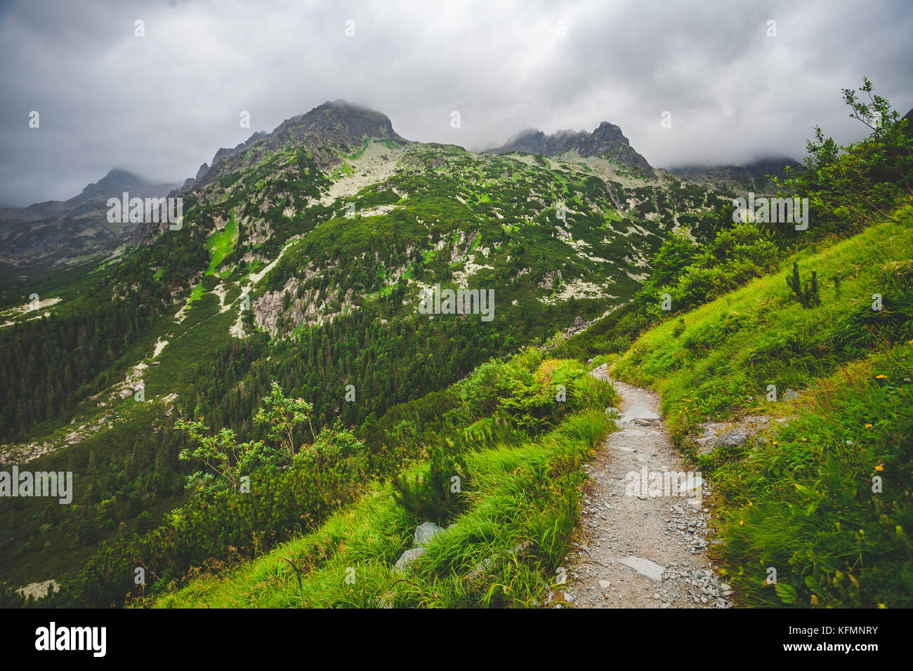 Mountain trail in High Tatra. Nature landscape Stock Photo