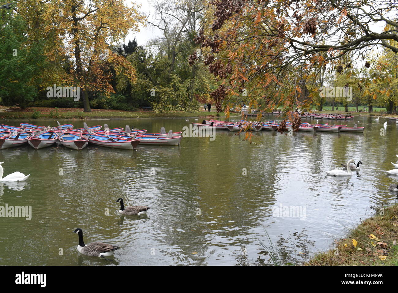 Street photography at Bois de Vincennes Paris, France Stock Photo