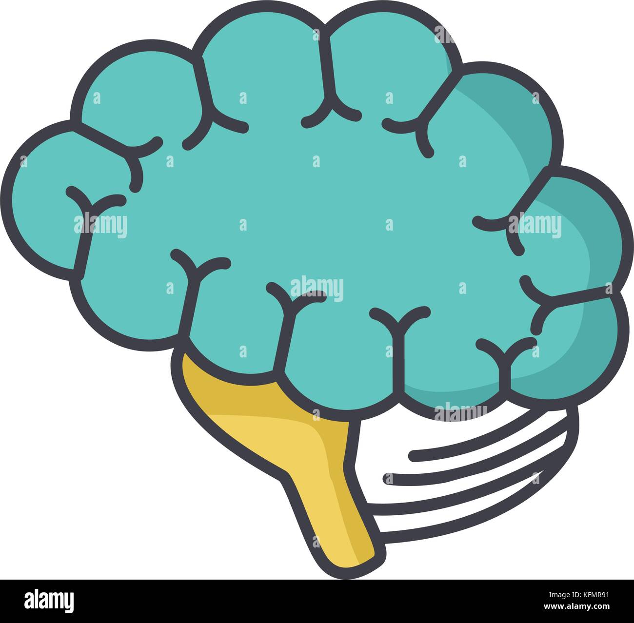 Human brain isolated Stock Vector Image & Art - Alamy