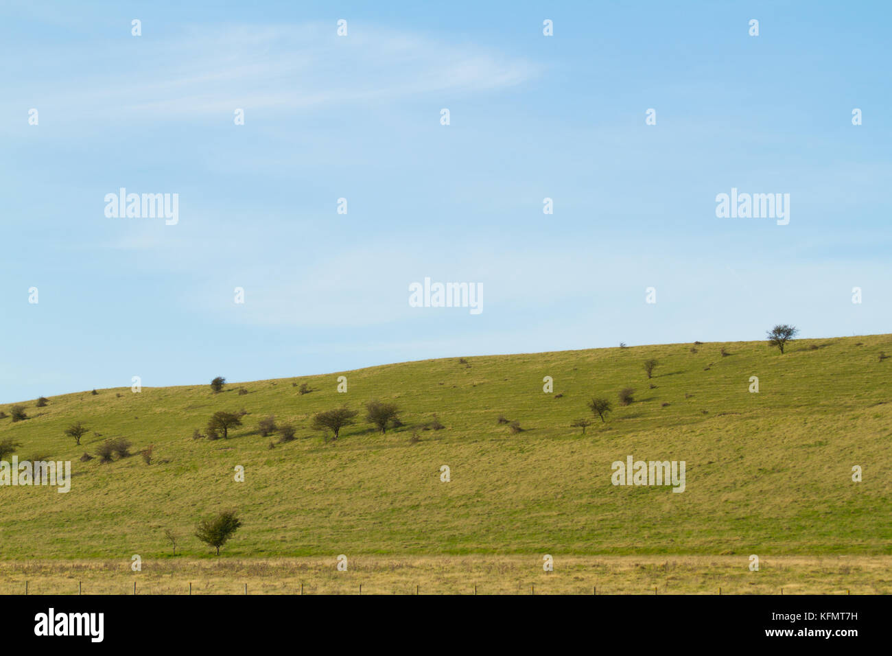 A pleasant view of the Ivinghoe Hills which make up part of the