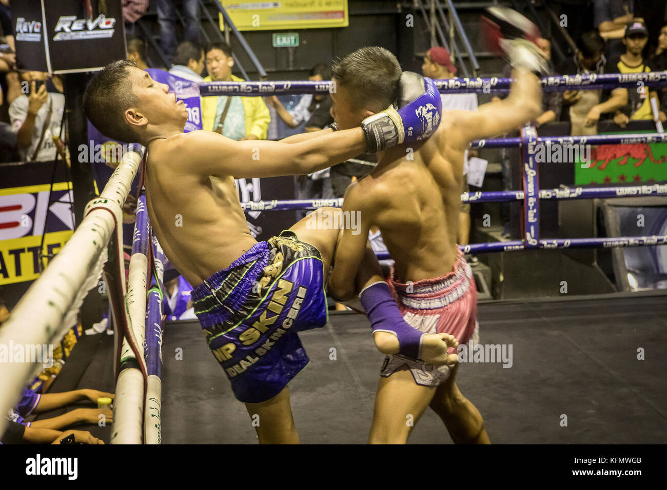Hitting. Boys, Muay Thai boxers fighting, Bangkok, Thailand Stock Photo