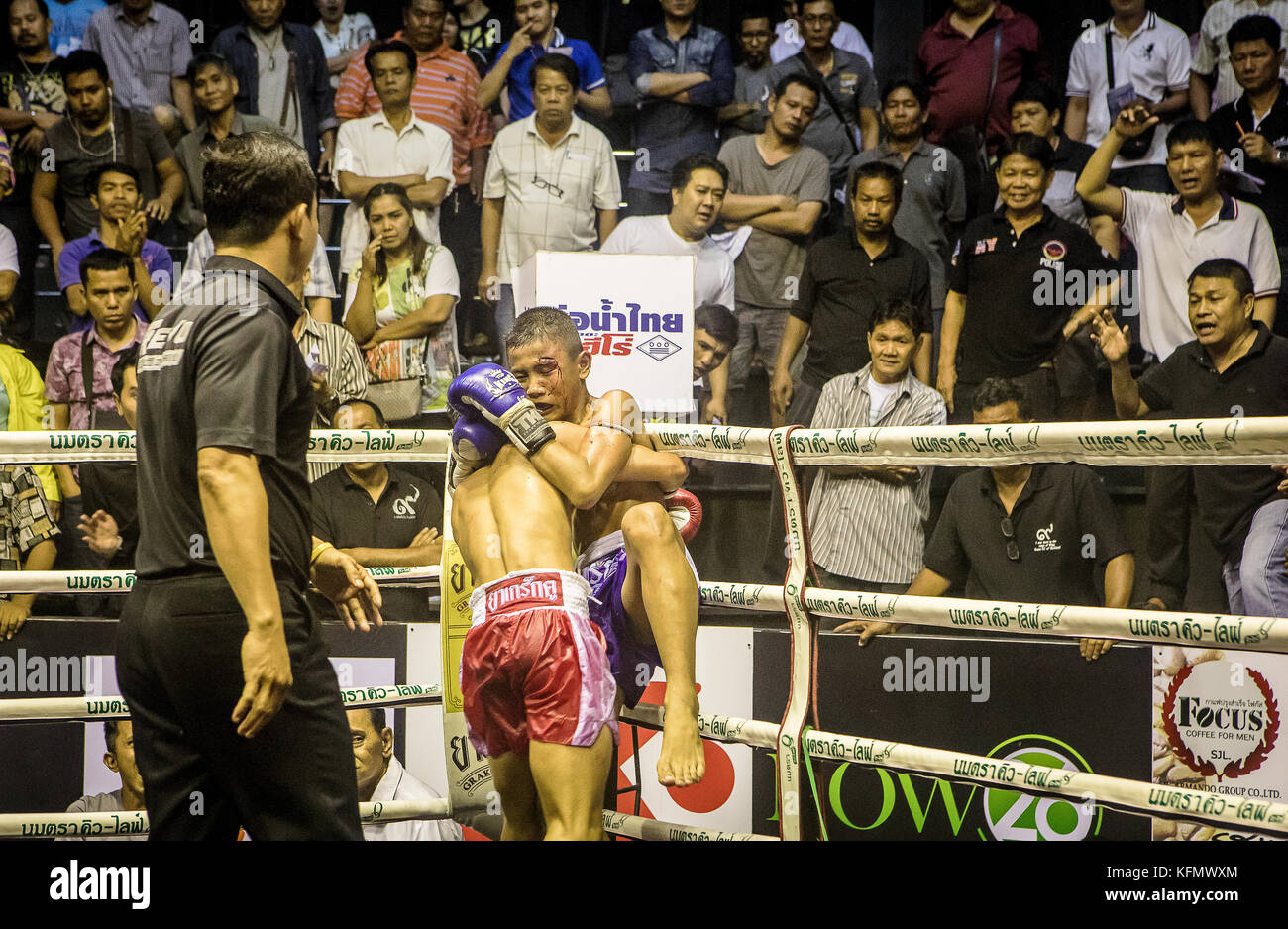Boys, Muay Thai boxers fighting, Bangkok, Thailand Stock Photo