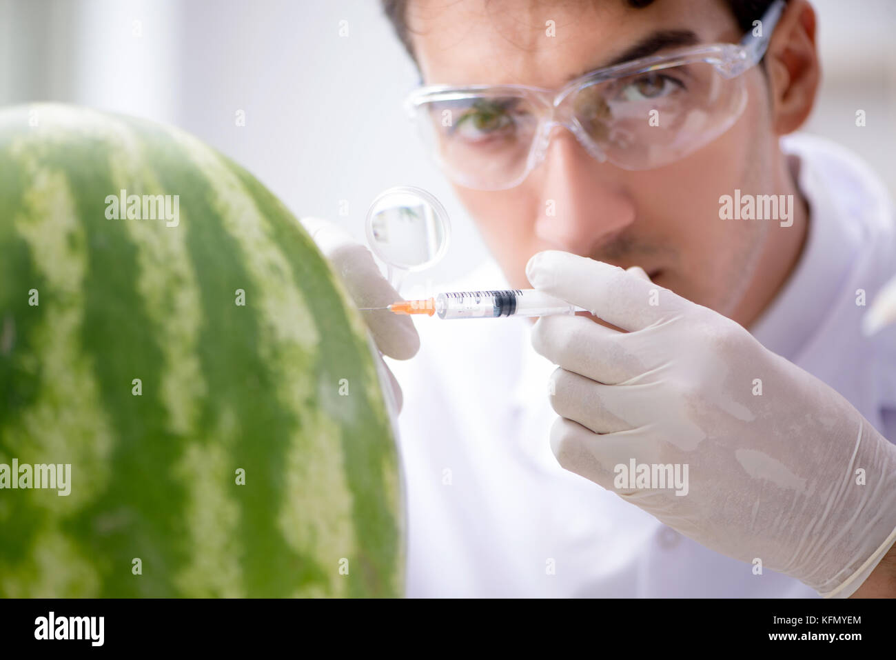 Watermelon Making Lab Scientist testing watermelon in lab Stock Photo - Alamy