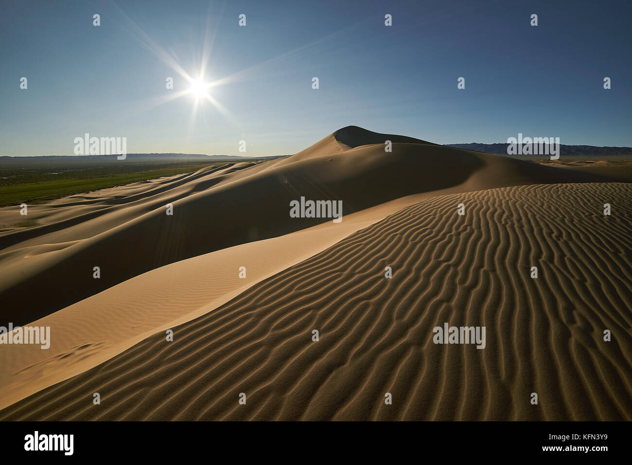 beautiful shot of a desert, wavy sand dunes, shinig sun and blue sky Stock Photo
