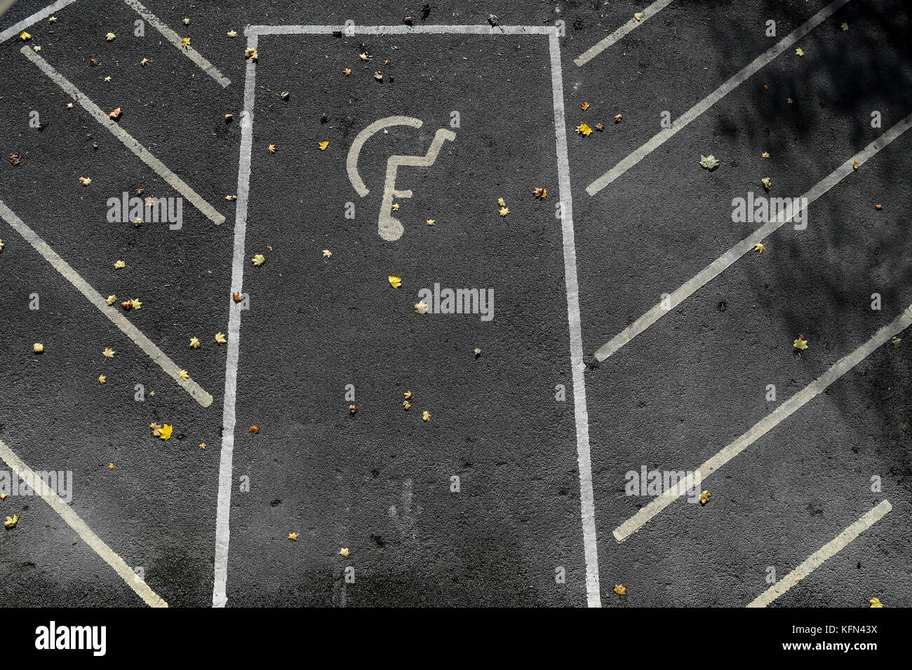 Empty disabled parking spaces with wheelchair markings on photographed from above. Stock Photo