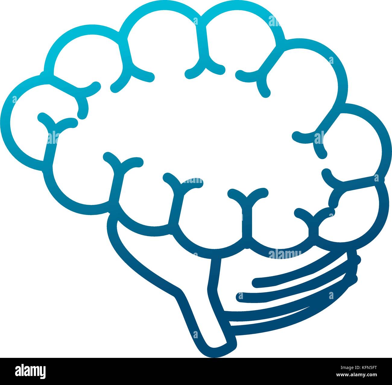 Human brain isolated Stock Vector Image & Art - Alamy