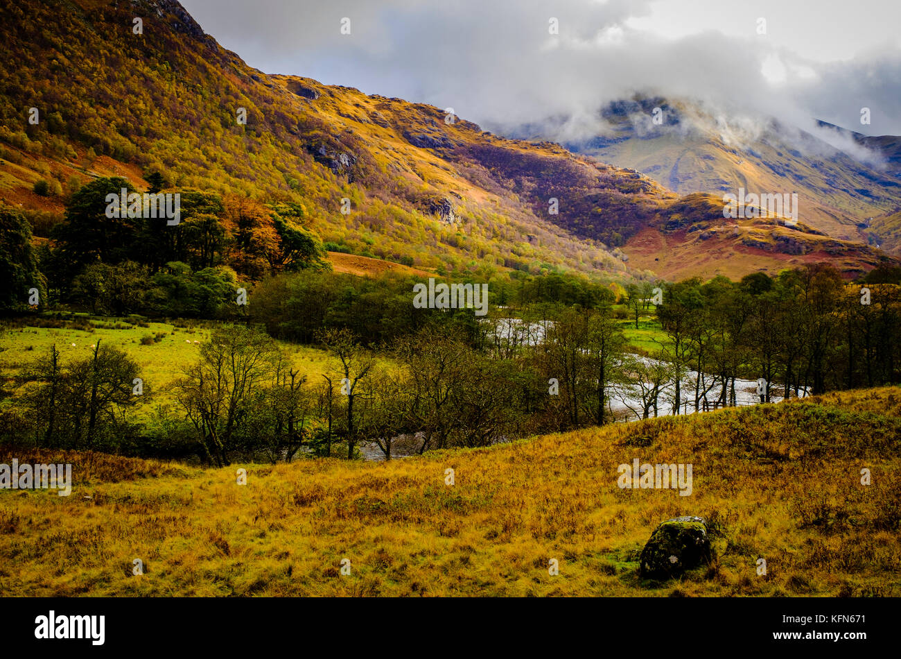 The river Nevis flowing through Glen Nevis in autumn, Highlands of Scotland Stock Photo Alamy