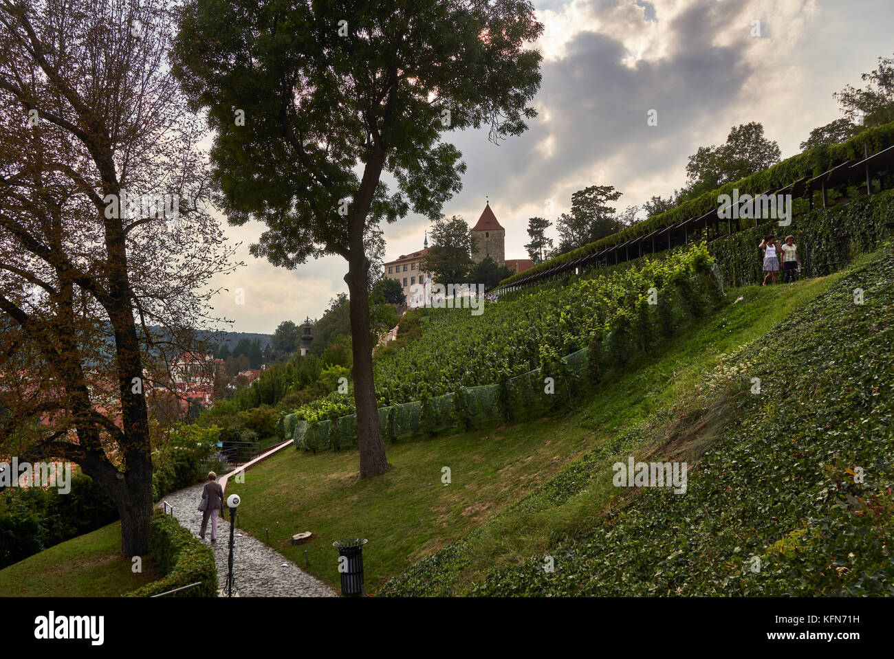 St Wenceslas Vineyard dating back to 10th century (Svatováclavská
