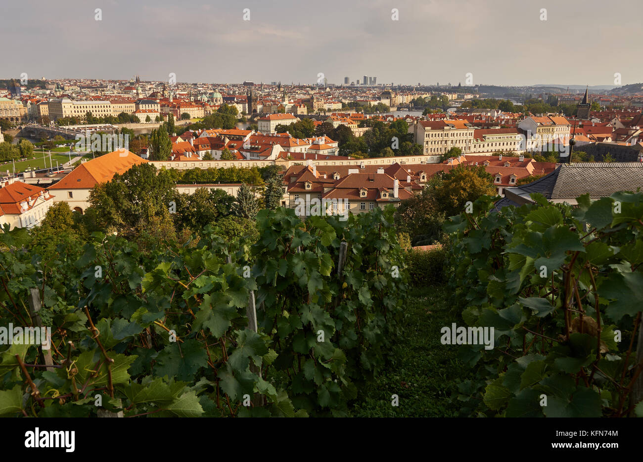 St Wenceslas Vineyard dating back to 10th century (Svatováclavská